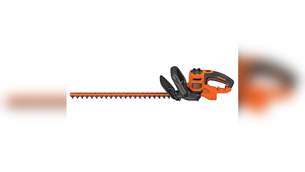 Best Hedge Trimmer for Thick Branches 2026: Top Picks Reviewed